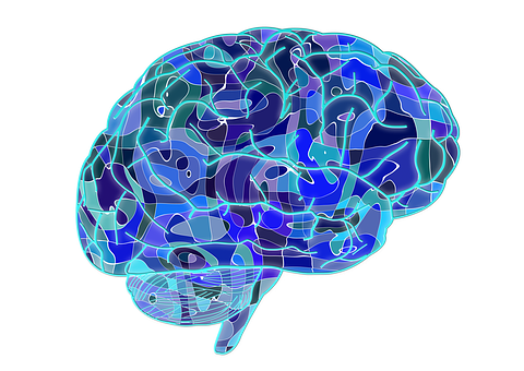 Stärken Sie Ihre Synapsen und werden Sie kein Opfer von Alzheimer - Zink Aktiv