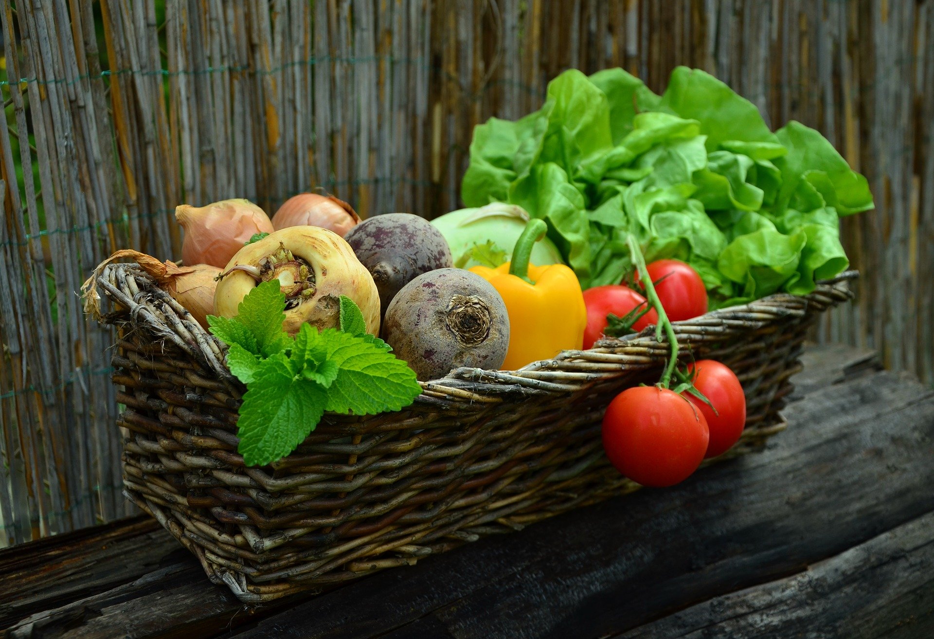 ausgewogene Ernährung mit vielen Vitaminen