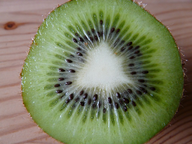 kiwi-79997 640